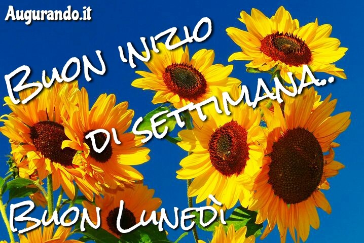 Buon Lunedì Buon Lunedì