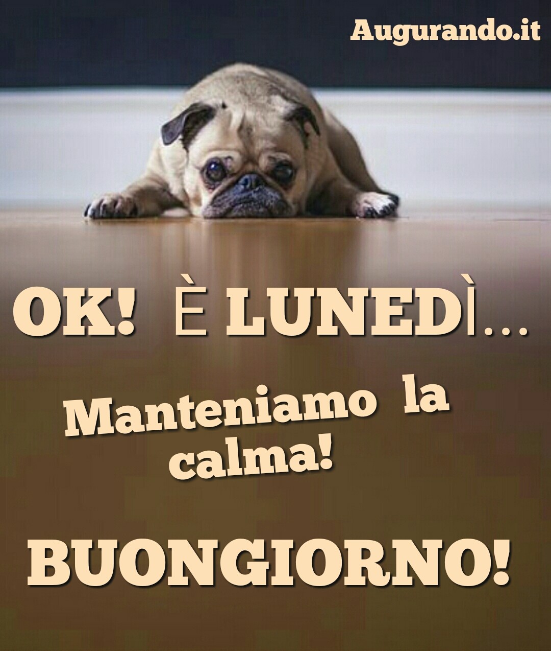 Buon Lunedì Buon Lunedì