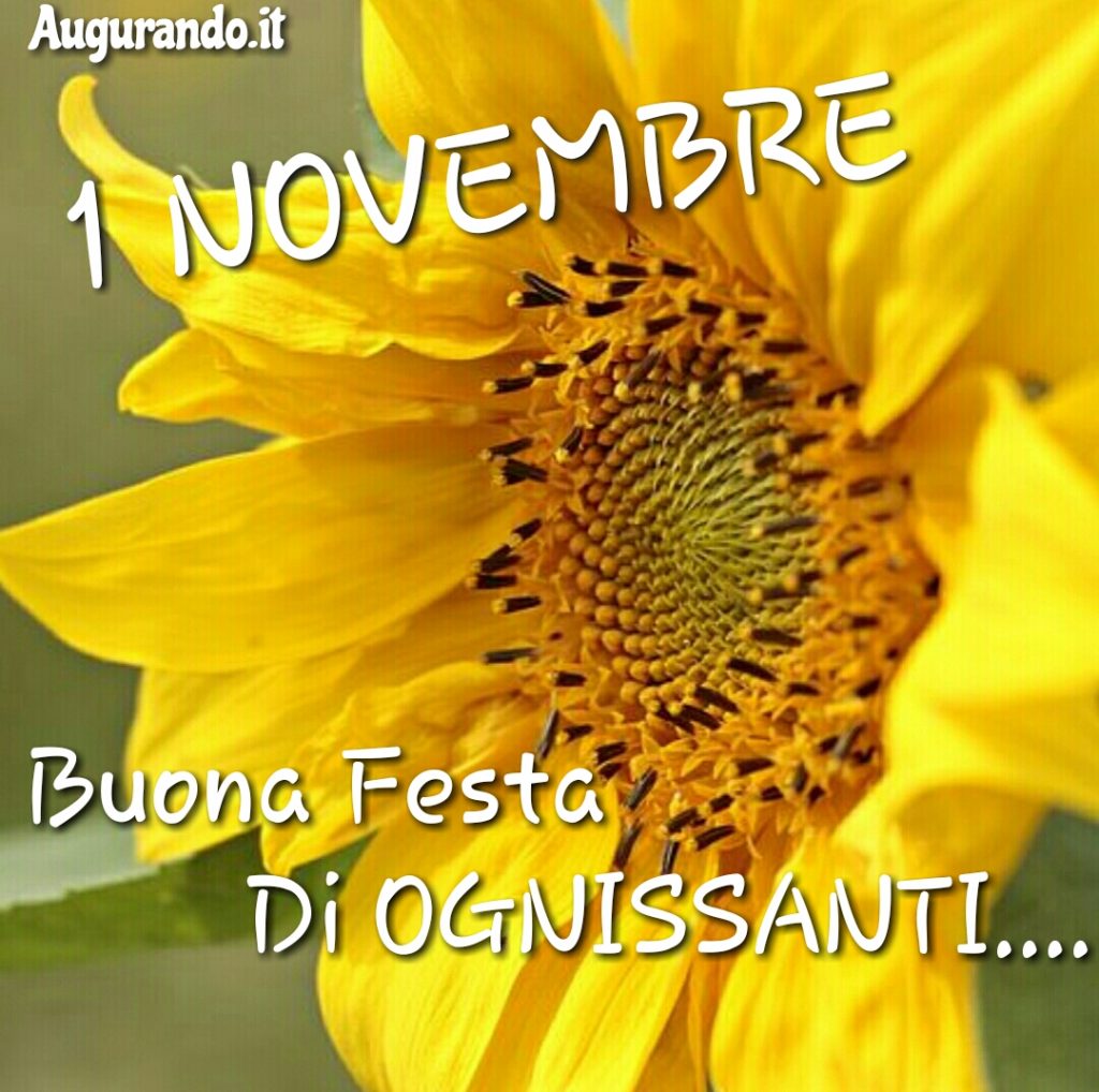 Buon Ognissanti Tante Immagini Di Auguri Entra