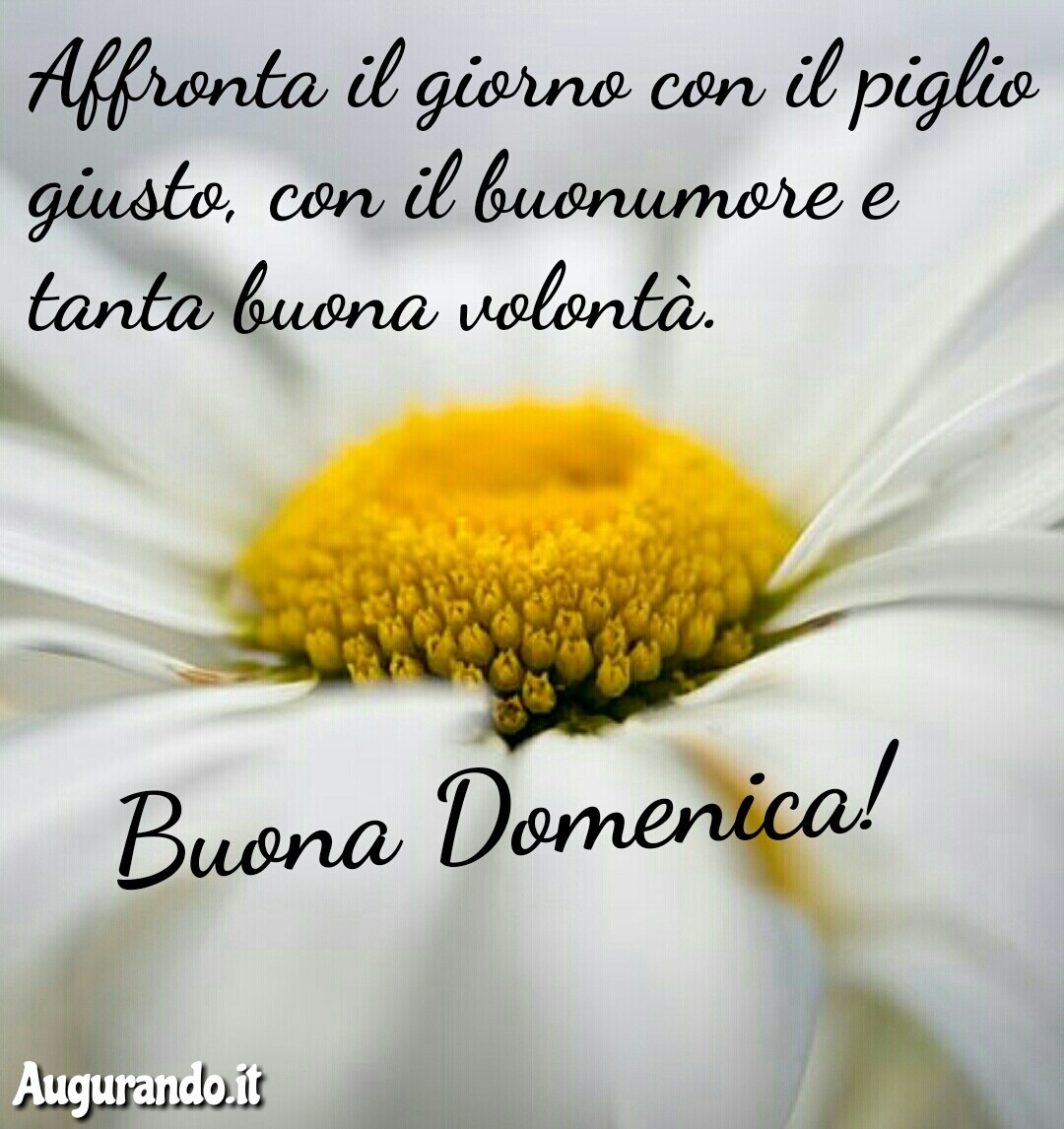 Buona domenica, domenica, felice domenica, serena domenica, dolce domenica, dolce domenica, buona domenica a tutti, buona domenica a te