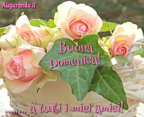 Buona domenica, domenica, felice domenica, serena domenica, dolce domenica, buona domenica a tutti, lieta domenica, buona domenica a te, buona domenica amore