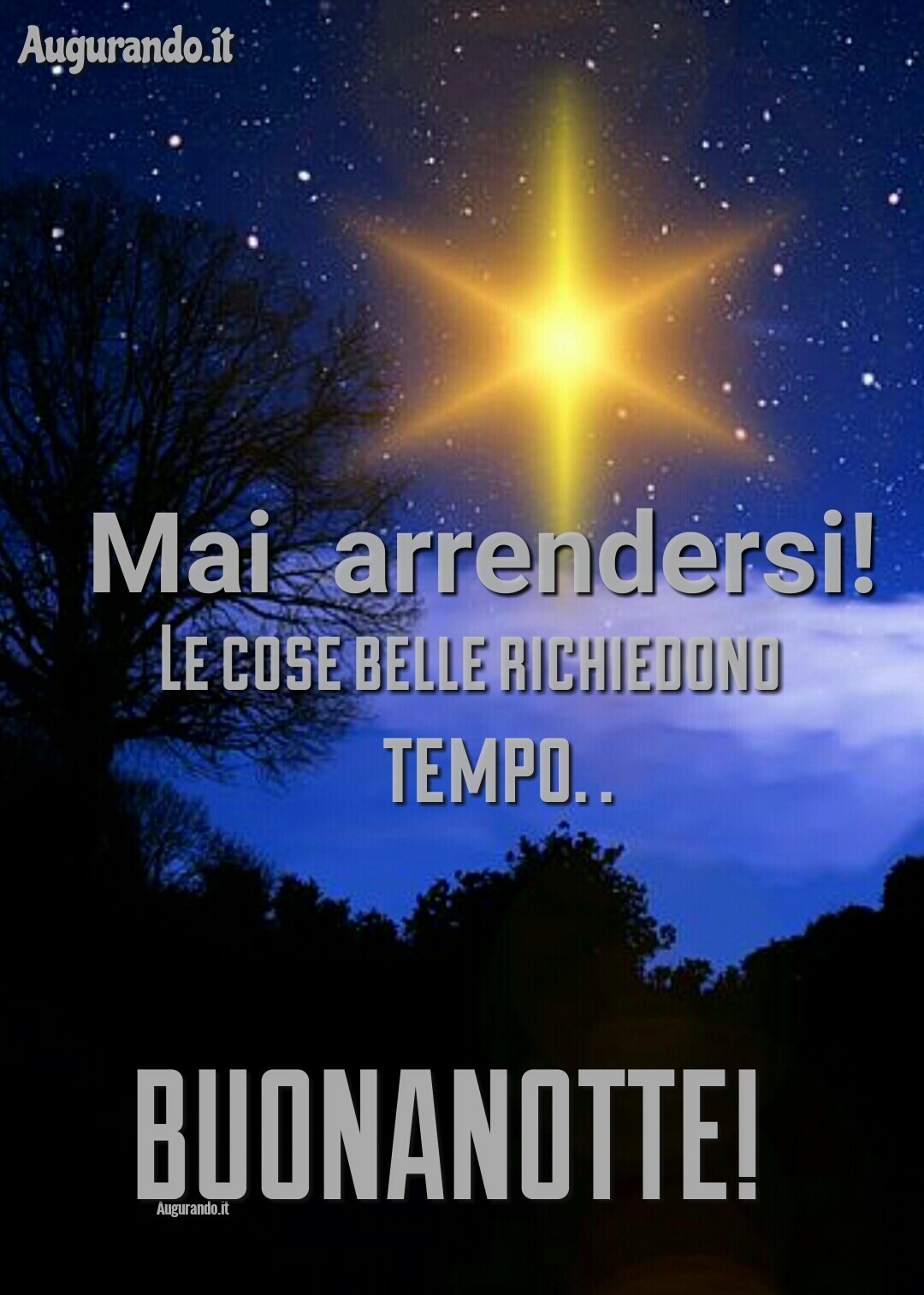 Immagini buonanotte per una dolce notte clicca qui!