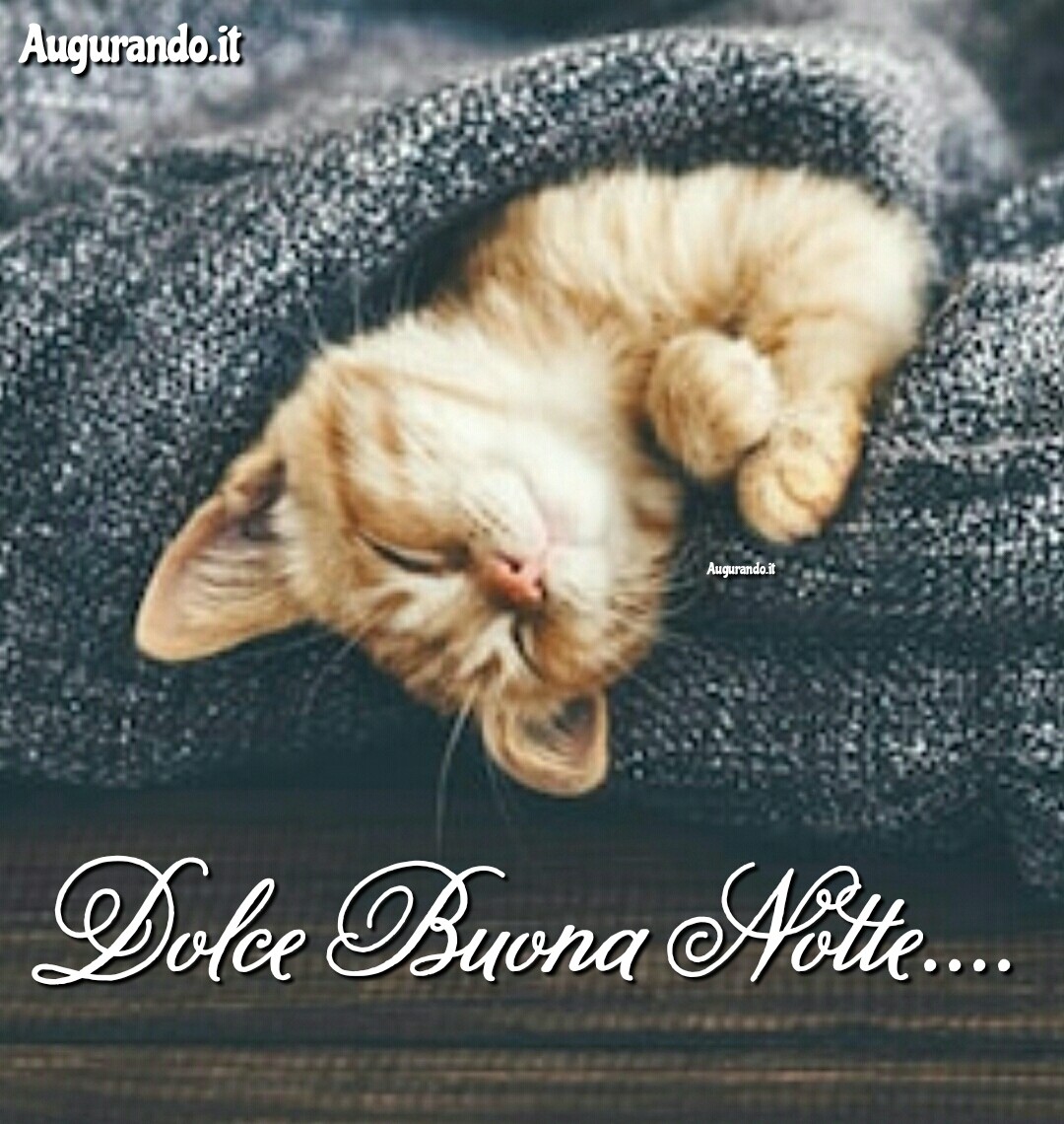 Dolce notte Buonanotte