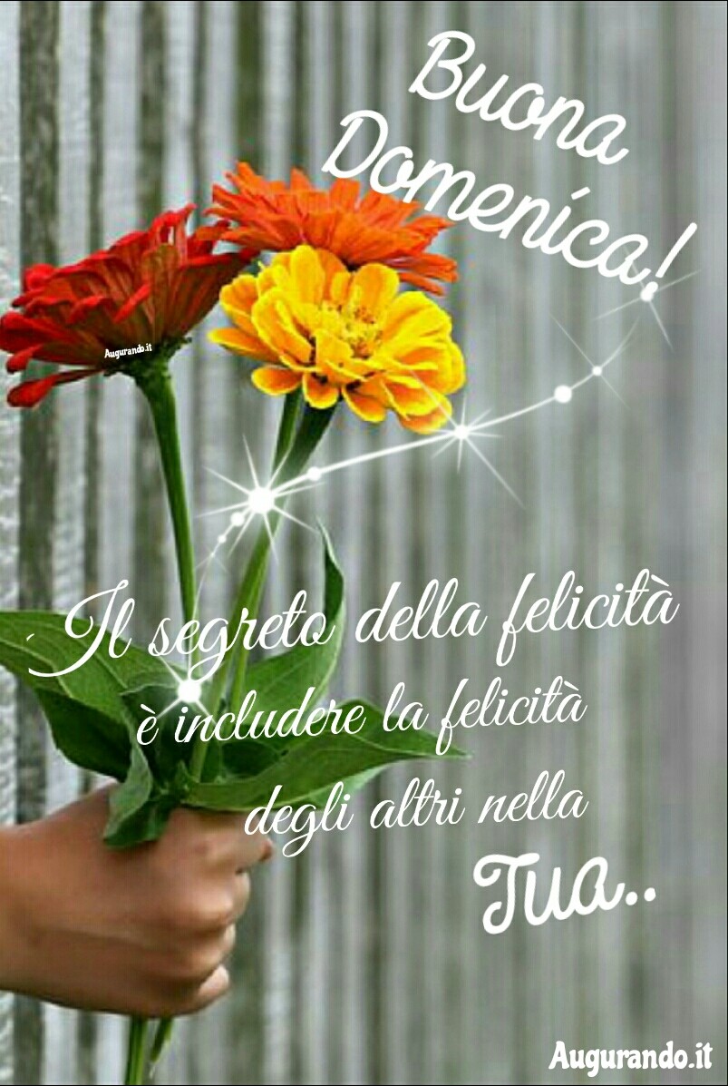Immagini Fantastiche Per Una Buona Domenica 