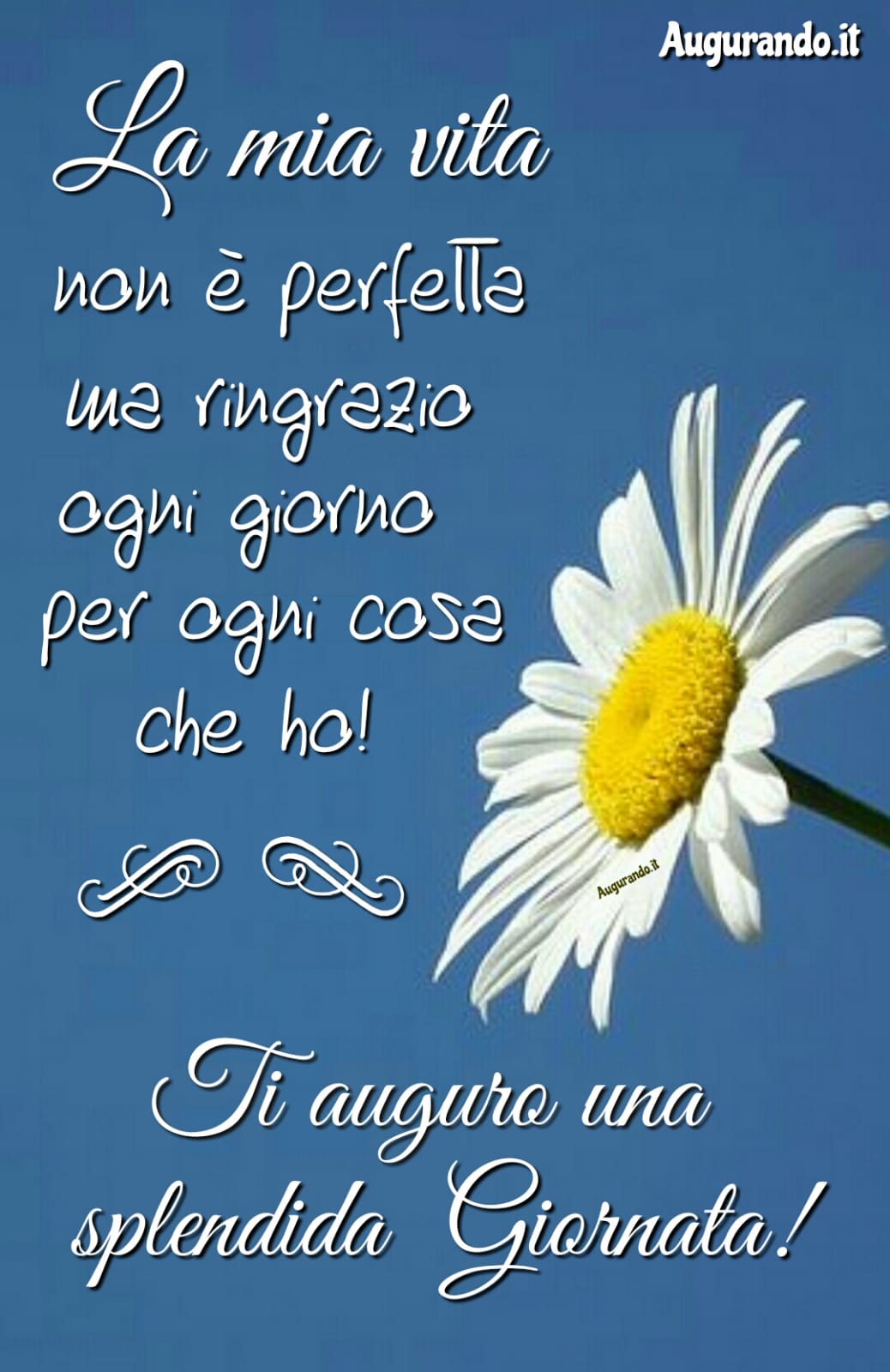 Buona giornata Buongiorno