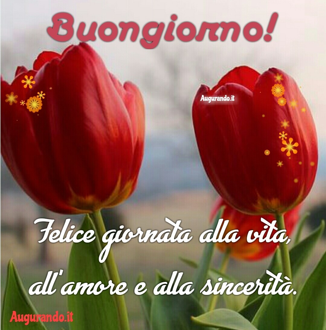 Buongiorno