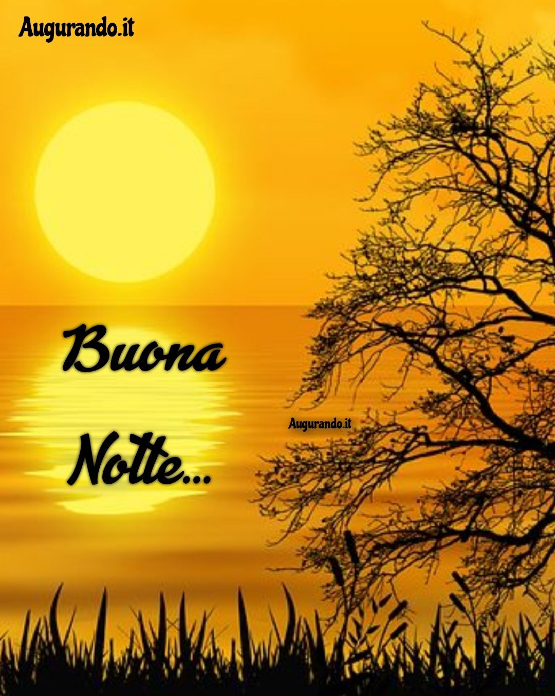 Buonanotte