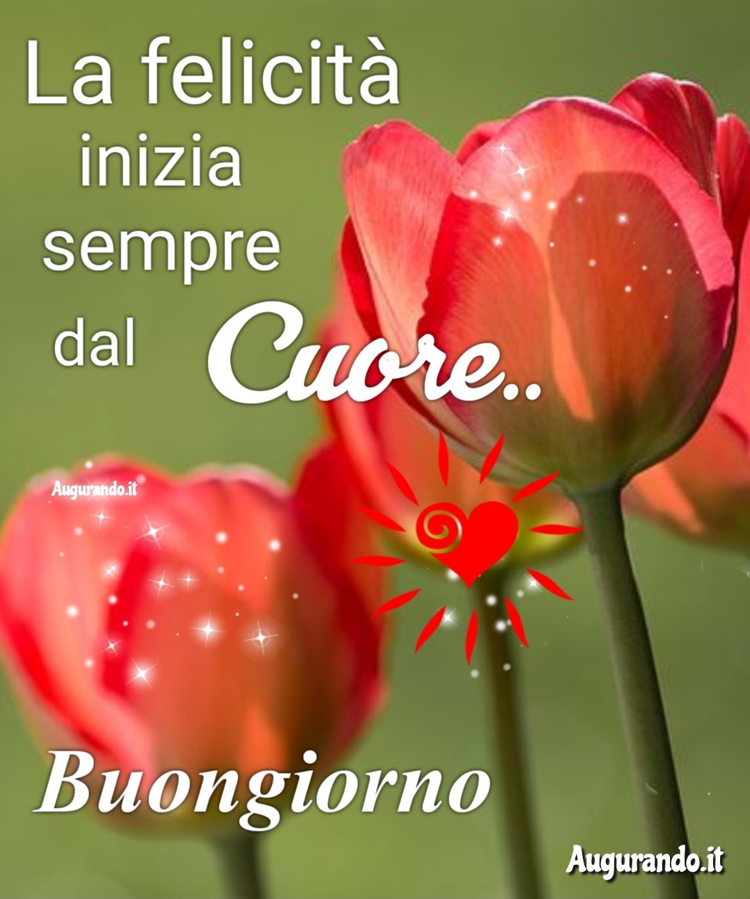 Buongiorno