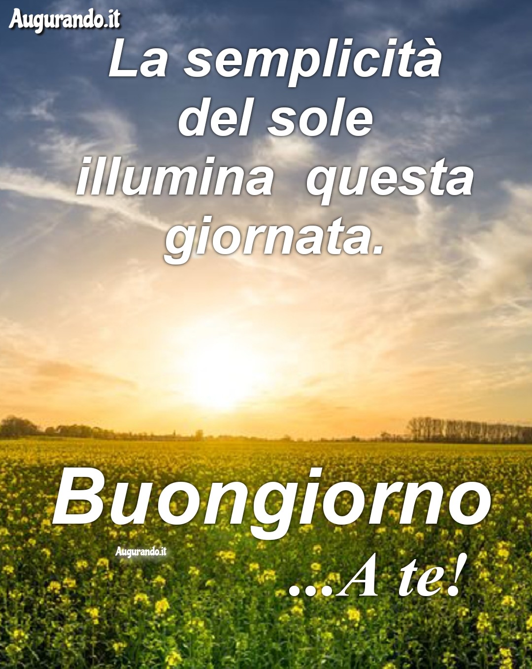 Buongiorno