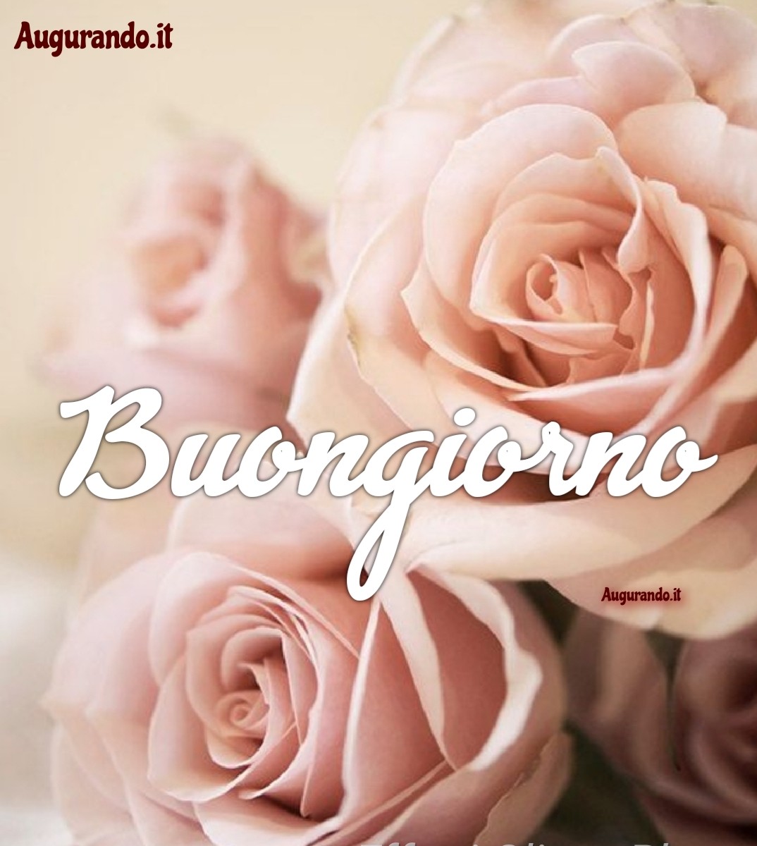 Buongiorno