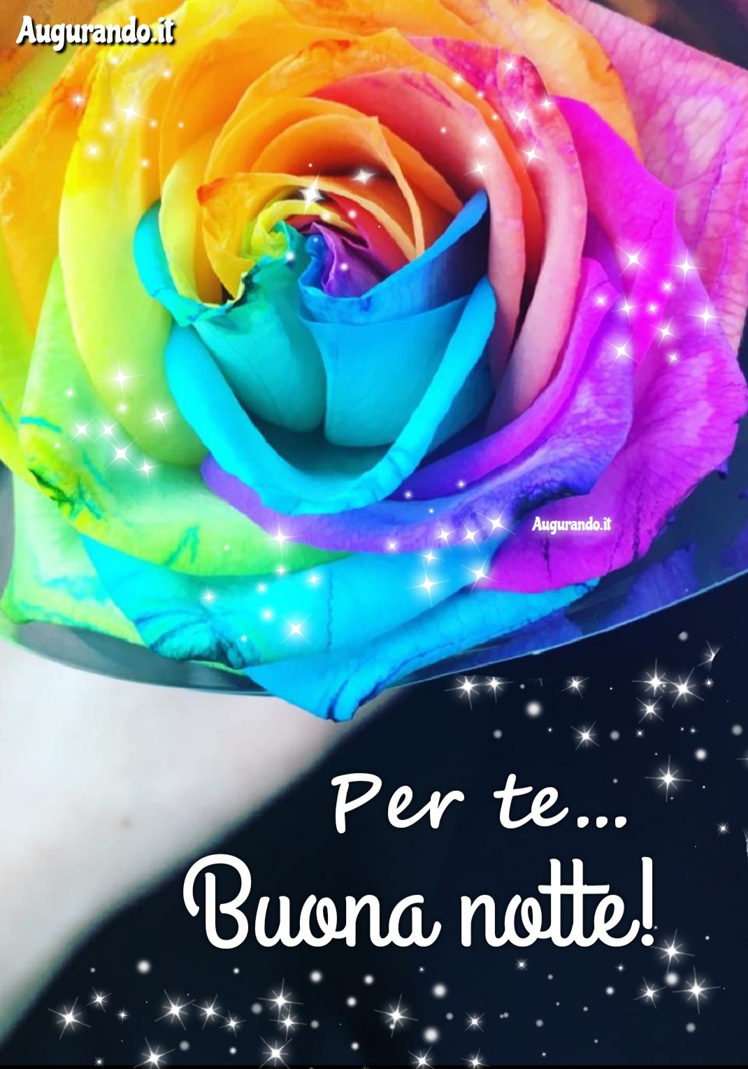 Buonanotte