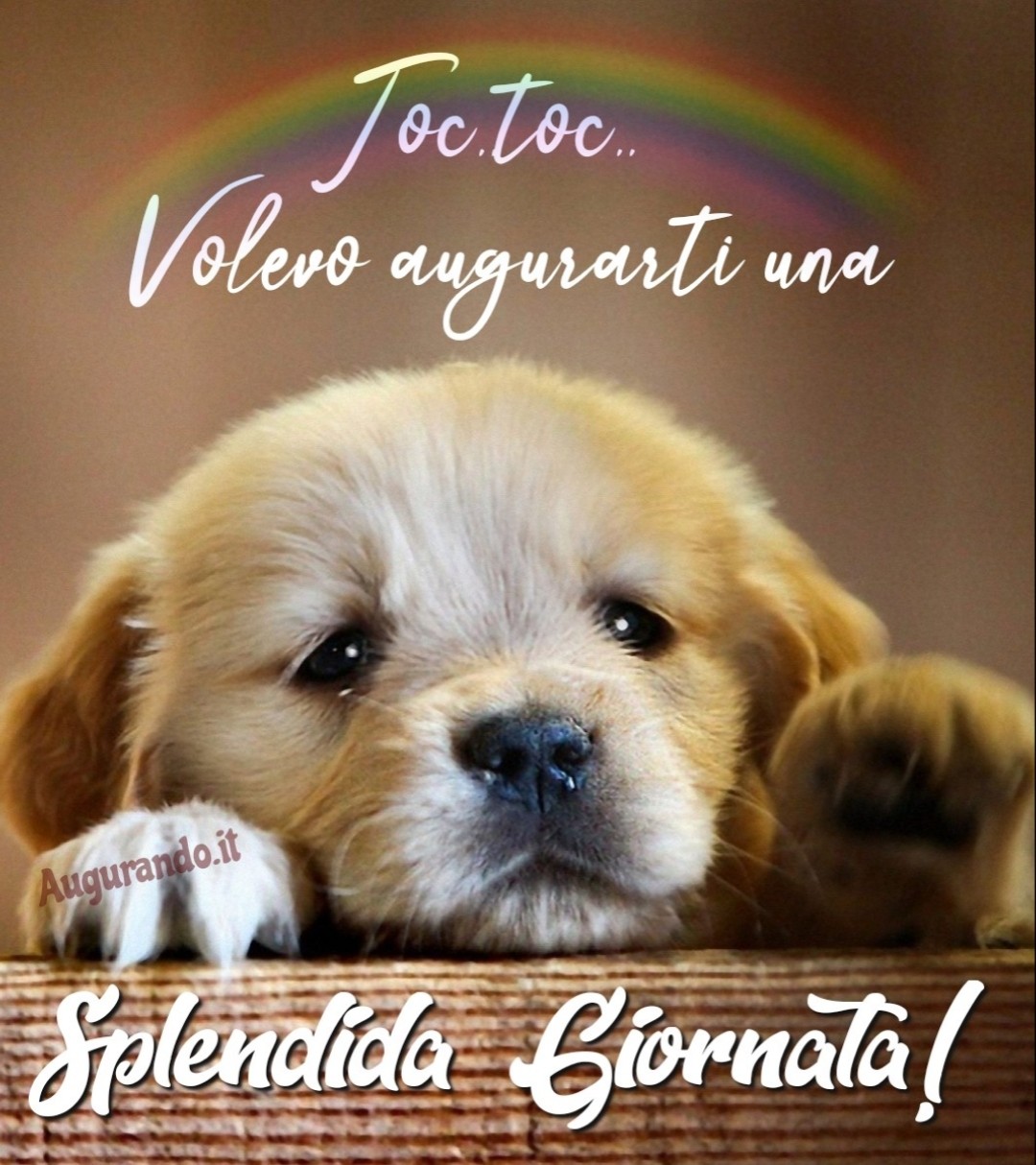 Buongiorno