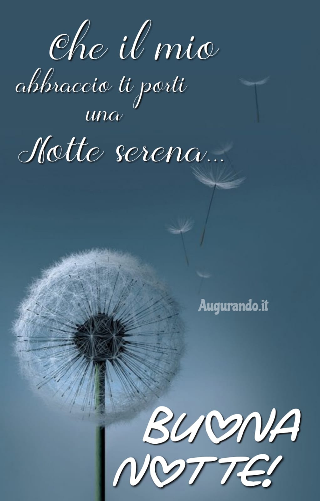 Buonanotte