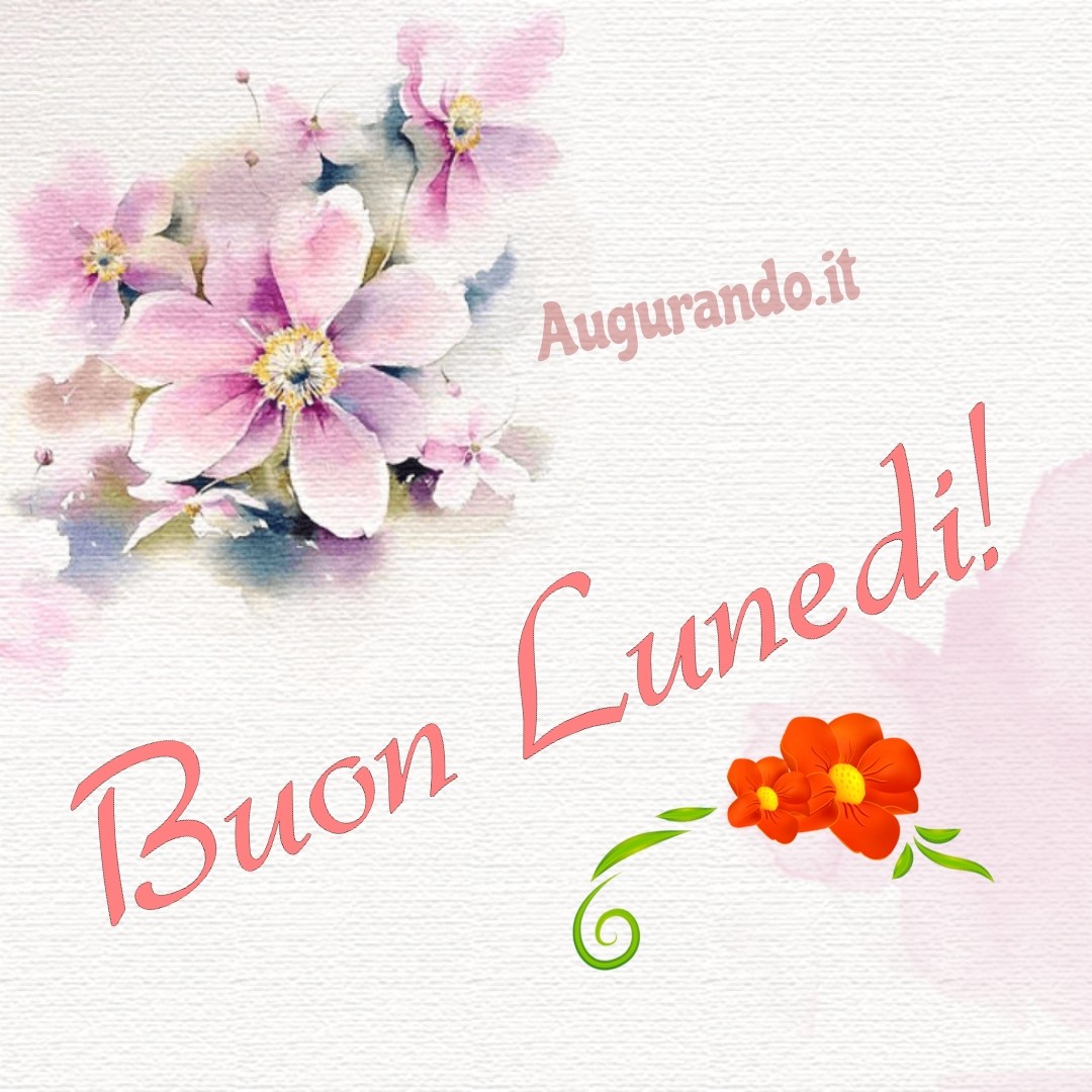 Buon Lunedì con fantastiche immagini entra!