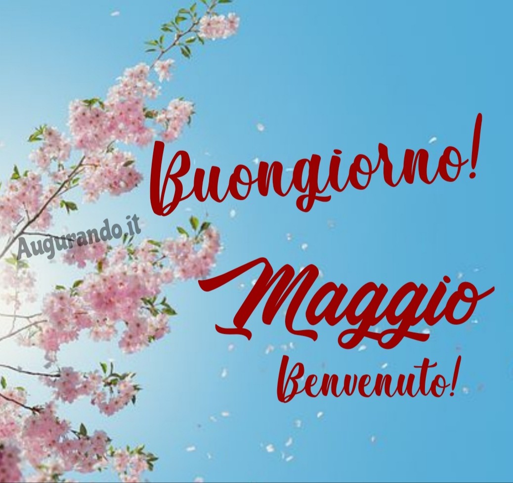 Buongiorno