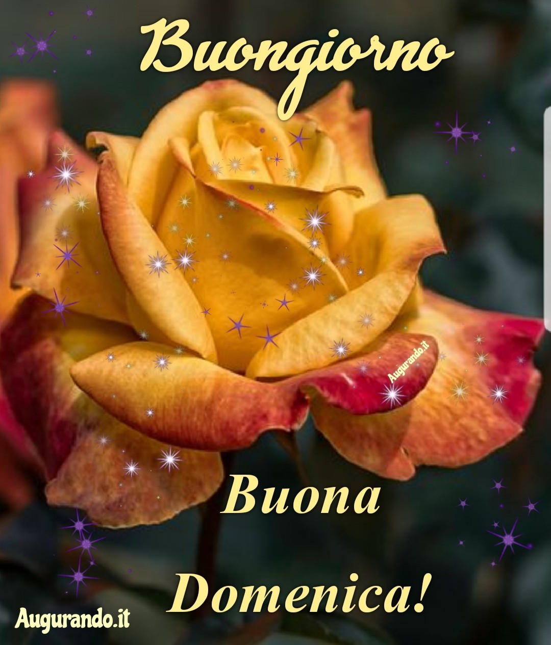 Immagini Fantastiche Per Una Buona Domenica 