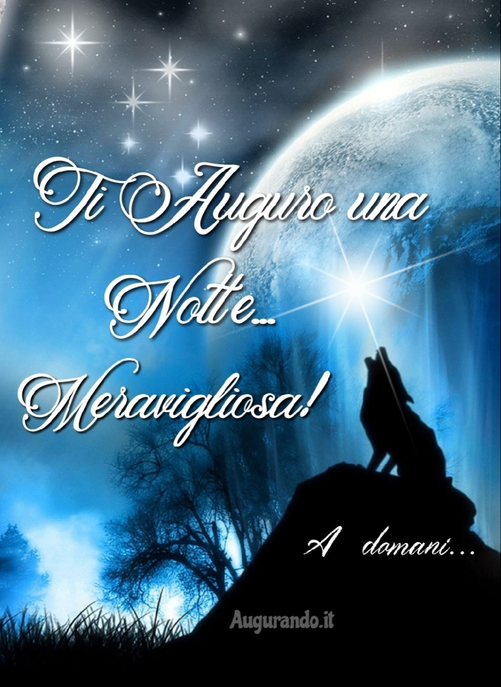 Le Migliori Immagini della Buonanotte per WhatsApp e Facebook!