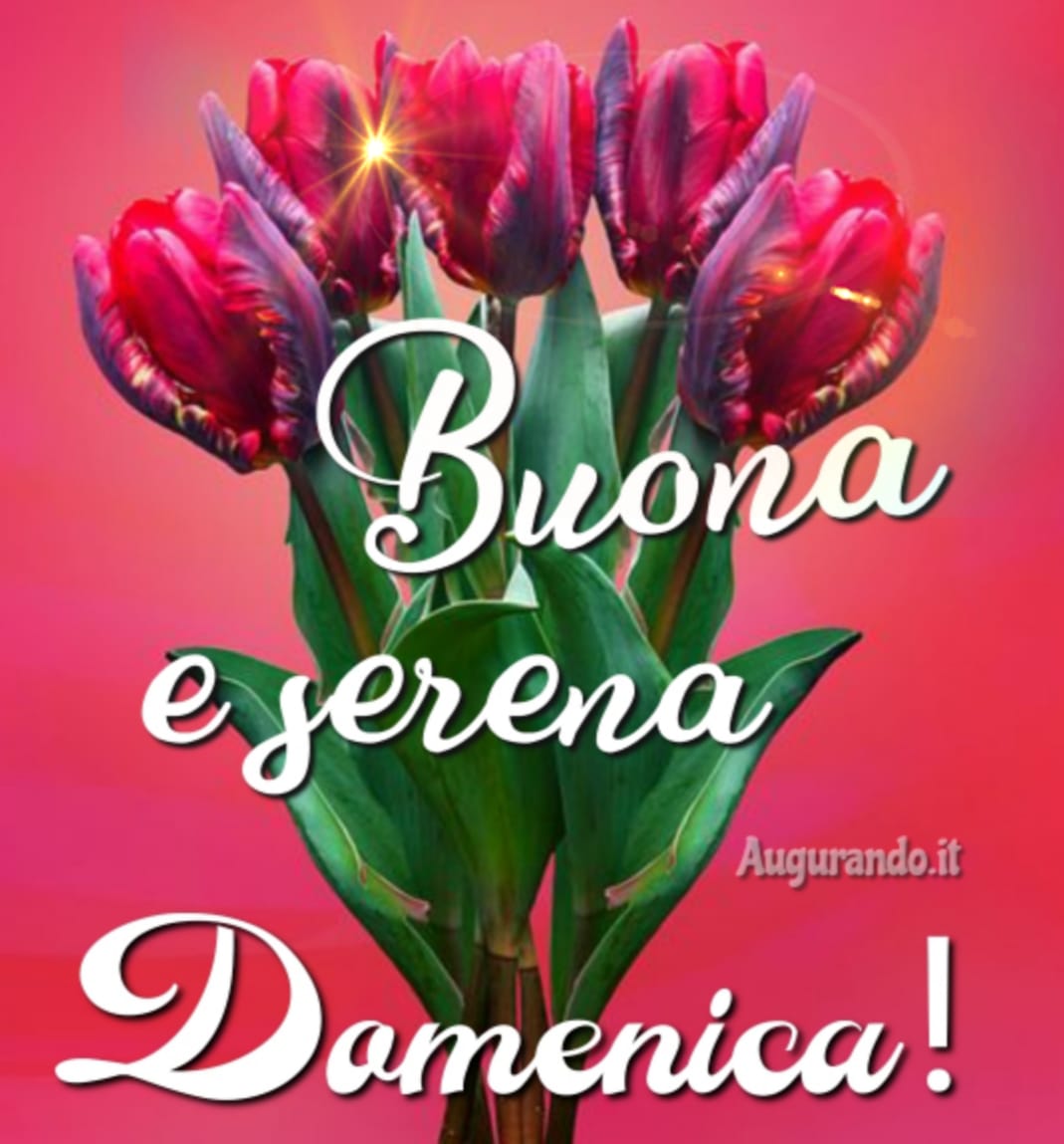 Buona domenica картинки на итальянском красивые