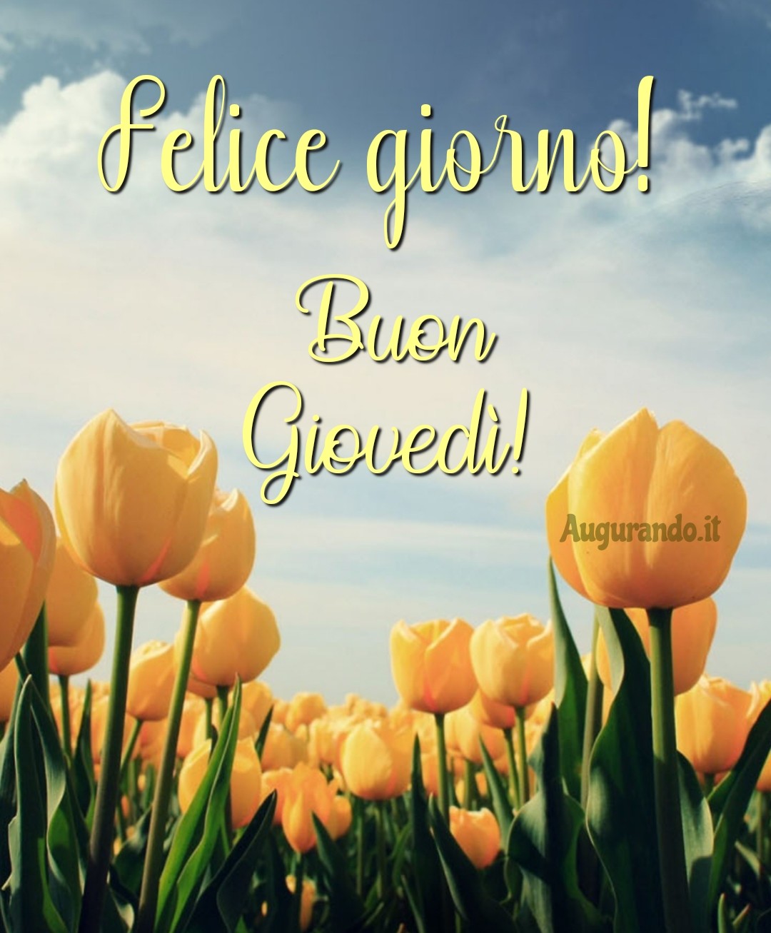 Buon Gioved Con Fantastiche Immagini Entra Buon Gioved Con Fantastiche Immagini Entra