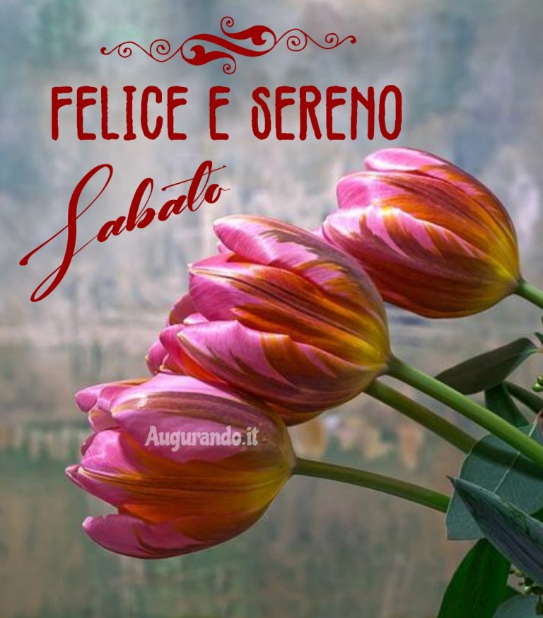 Buon Sabato con fantastiche immagini entra!