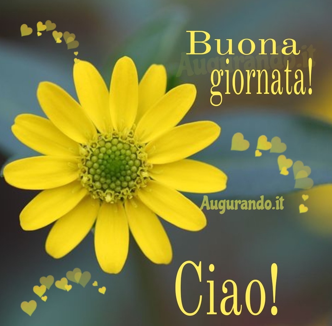 ciao buona giornata a te