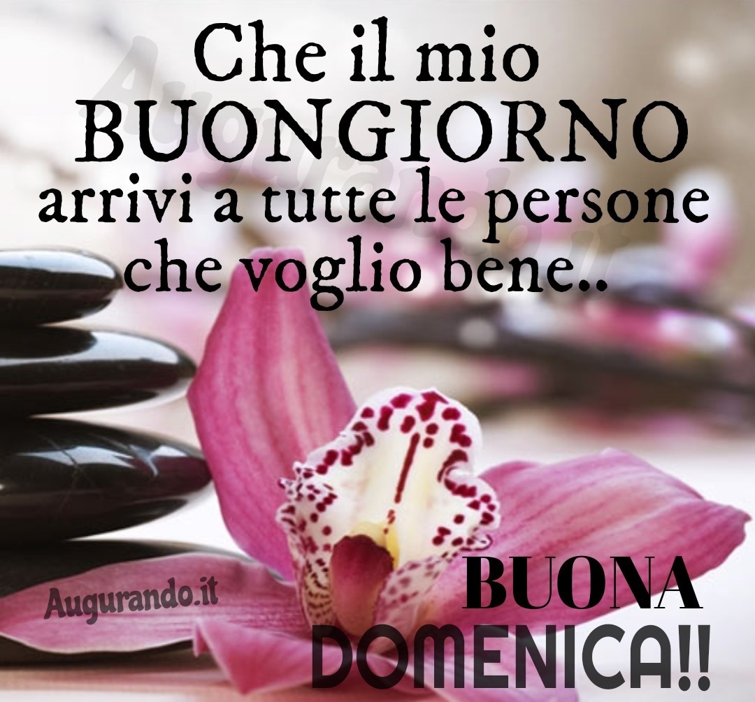 Buona domenica