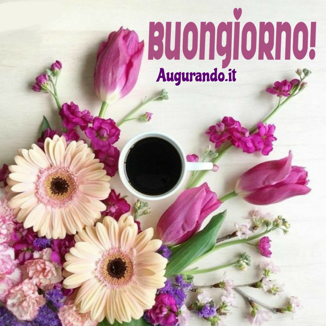 le-migliori-immagini-del-buongiorno-per-whatsapp-e-facebook