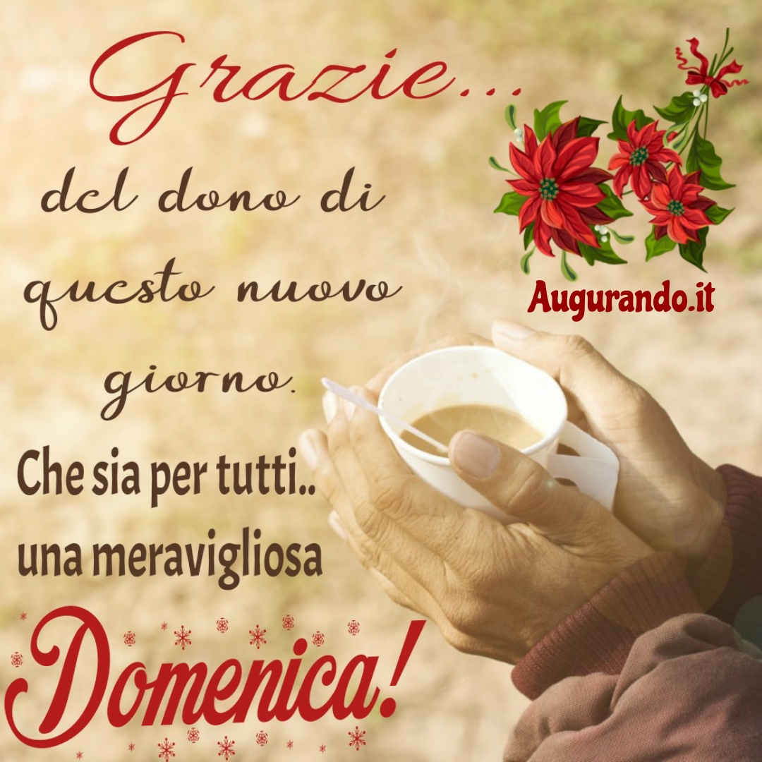 Immagini Fantastiche Per Una Buona Domenica Sempre Aggiornate 