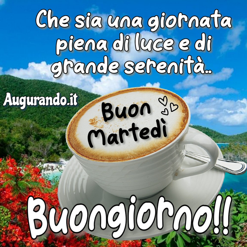Immagini Buon Marted Per Augurare Una Fantastica Giornata Immagini Buon Marted Per Augurare Una Fantastica Giornata
