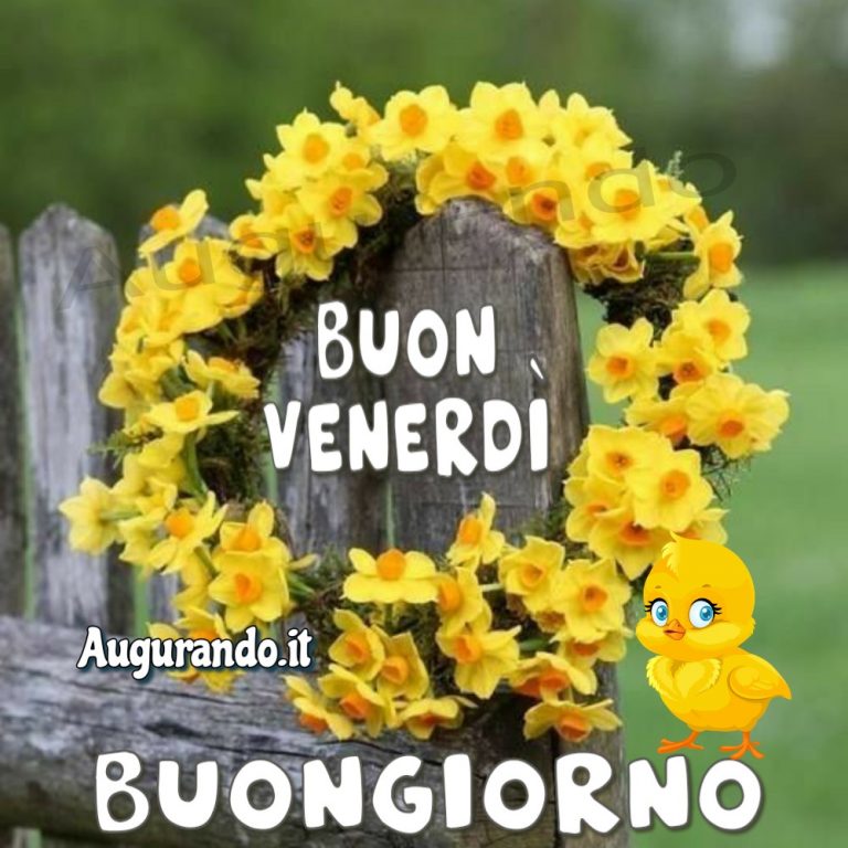 Immagini Buon Venerd Le Pi Belle Per Augurare Una Fantastica Giornata