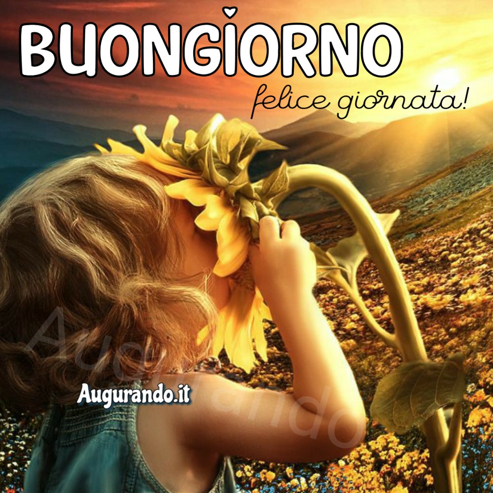 immagini buongiorno